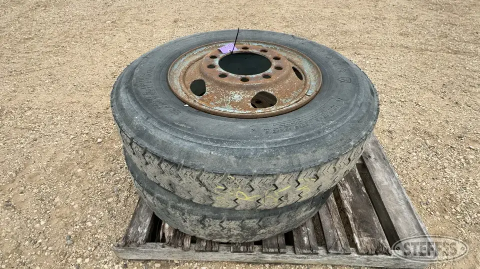 (2) Firestone 10.00R22 Tires Truck Tire
