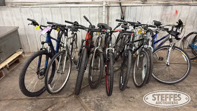 (9) Bikes