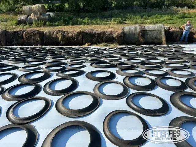 (10) Bundles of passenger tire sidewalls