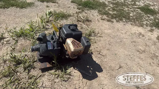 Intek Pro transfer pump