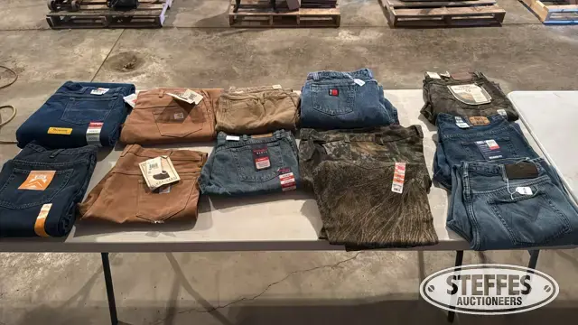 Mens pants