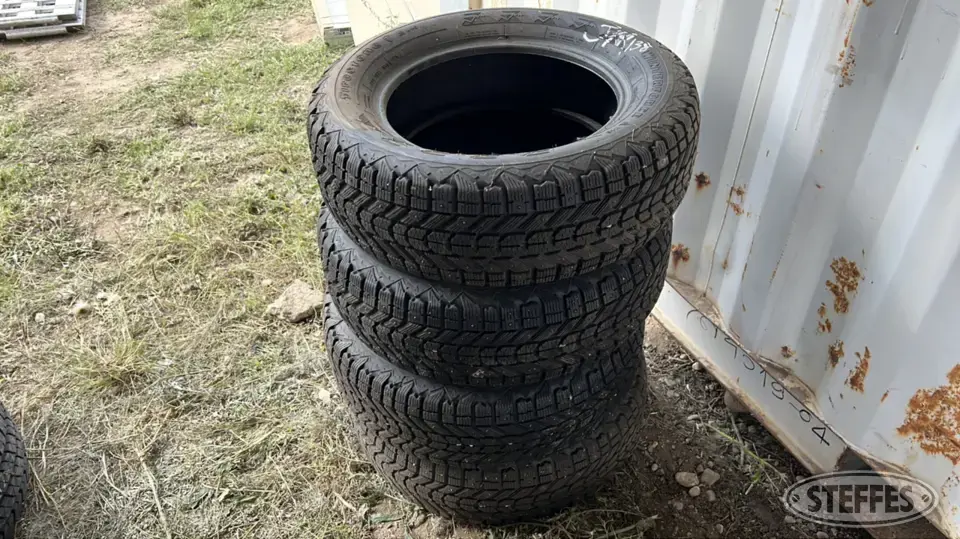 Firestone Winterforce Passenger-Light Truck Tire