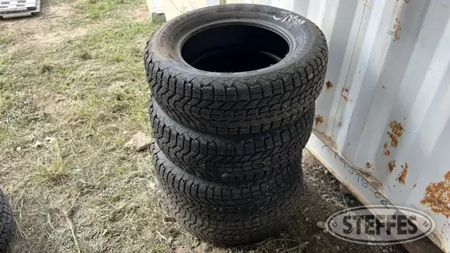 Firestone Winterforce