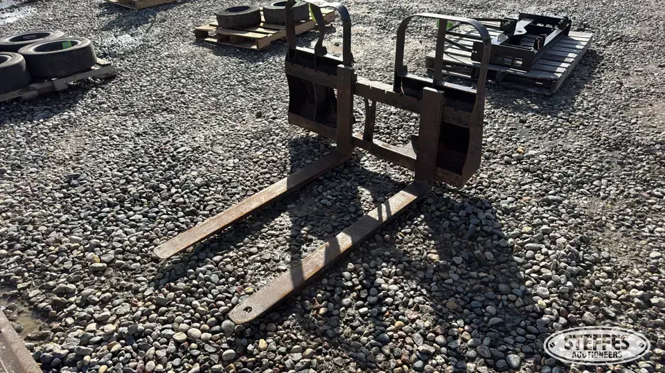 Skid steer forks