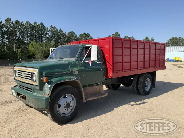 1973 Chevrolet C60