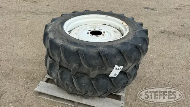 (2) Firestone 12.4-28 tires