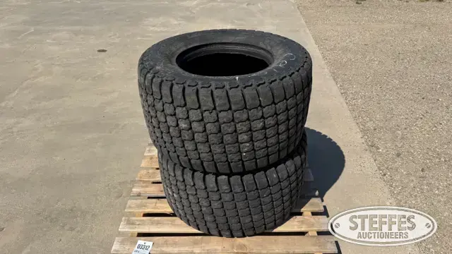 (2) Galaxy 33x15.50-16.5 tires