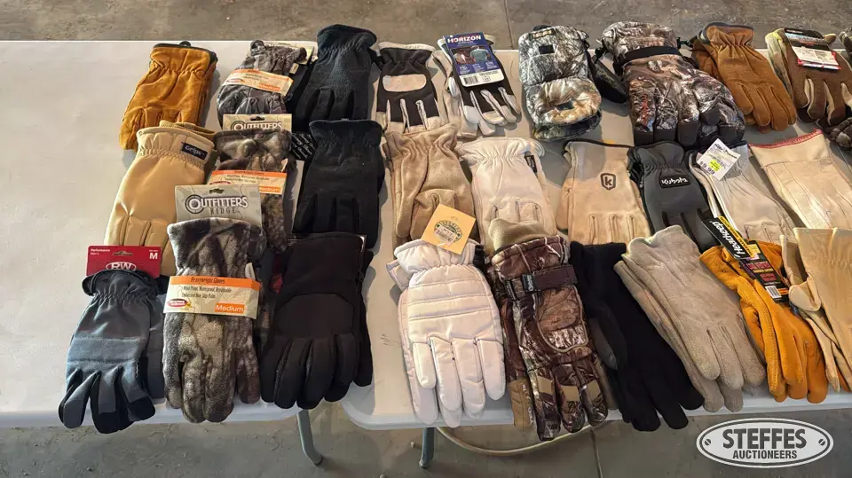 Several pairs medium gloves Personal Property