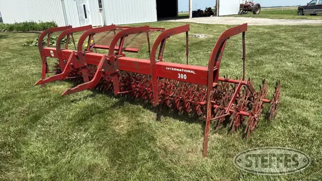International 300
