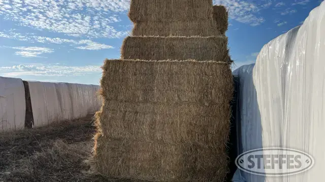 (42 Bales) 3x4x8 square