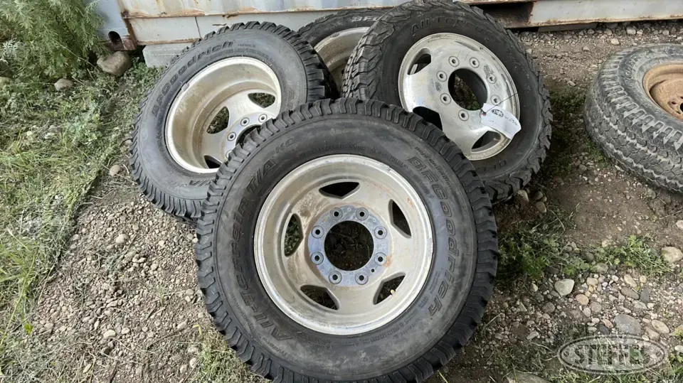 BF Goodrich Passenger-Light Truck Tire