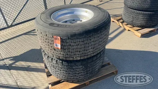 (2) 455/55R22.5 tires