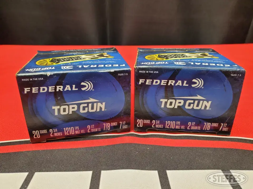 20 Gauge Ammo