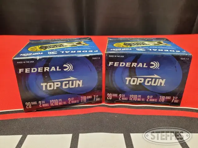 20 Gauge
