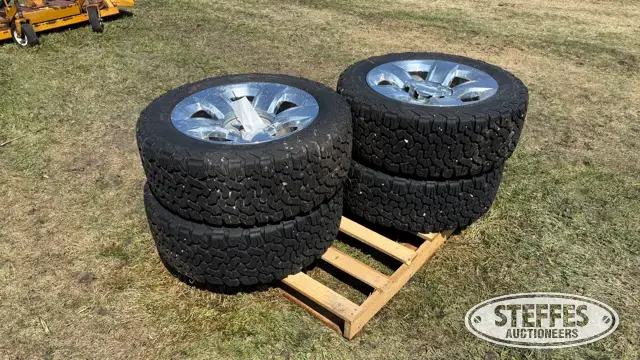 (4) BF Goodrich All Terrain 275/55R20 tires