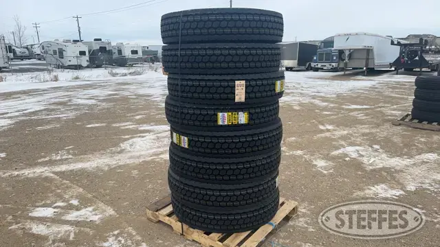 (8) Zwarthz 11R24.5 drive tires