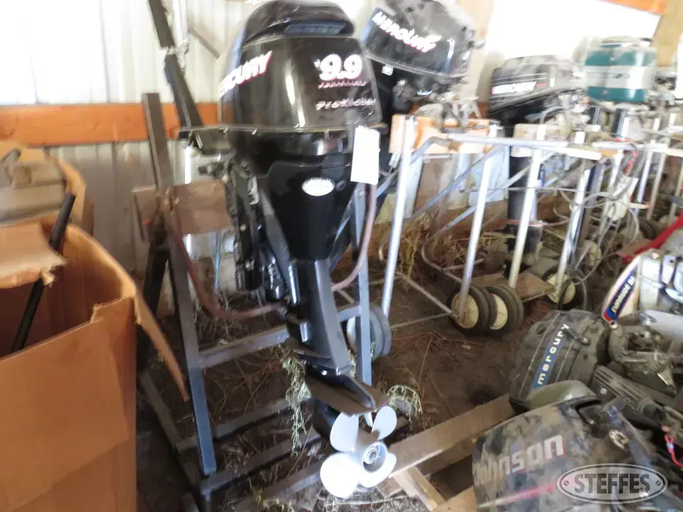 2006 Mercury Boat Motor
