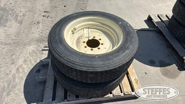 (2) Michelin 255/70R22.5 tires