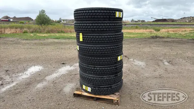 (8) Zwarthz 11R24.5 tires
