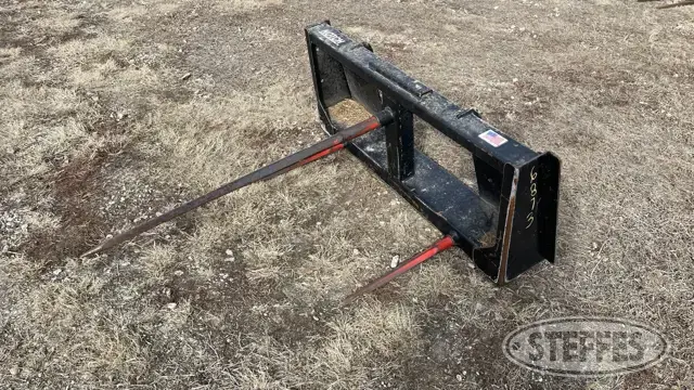 Notch BSS