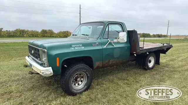 1979 Chevrolet Custom Deluxe 20