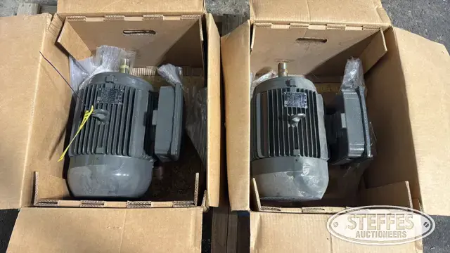 (2) WEG electric motors