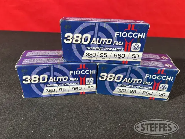 Fiocchi Training Dynamics