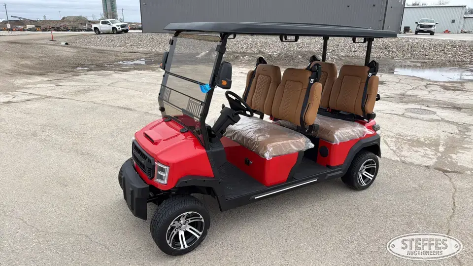 2025 Custom Drive GT290-480 Golf Cart