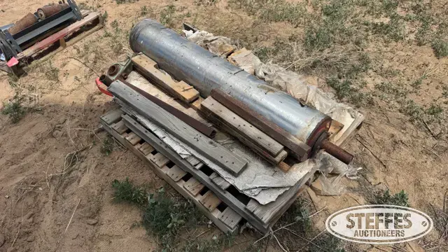 Magnetic roller