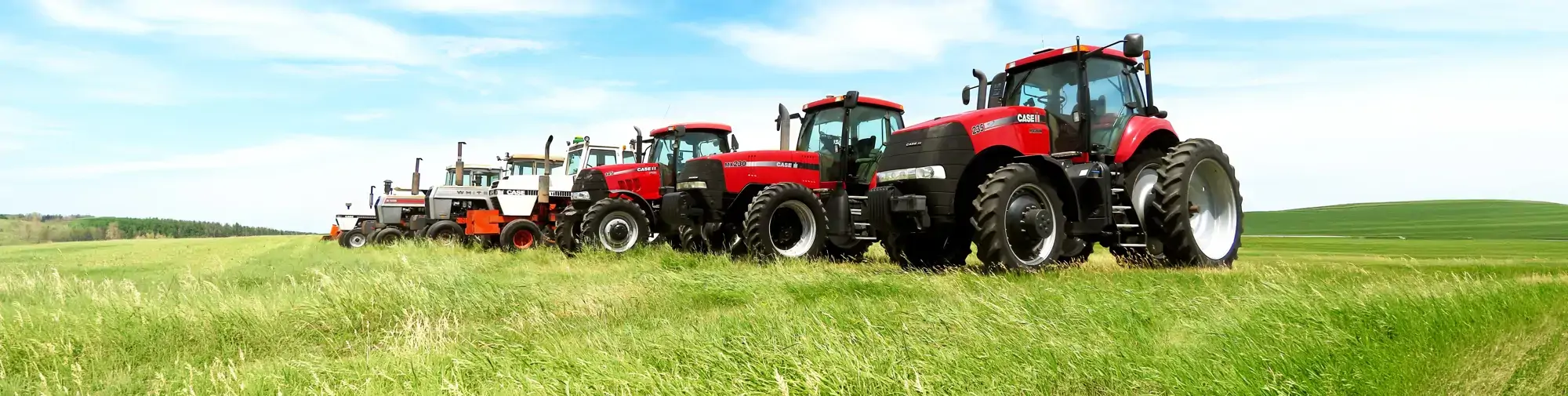Agriculture Auctions