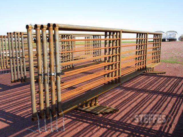(5)-24--Freestanding-cattle-panels--24-x5--_1.jpg