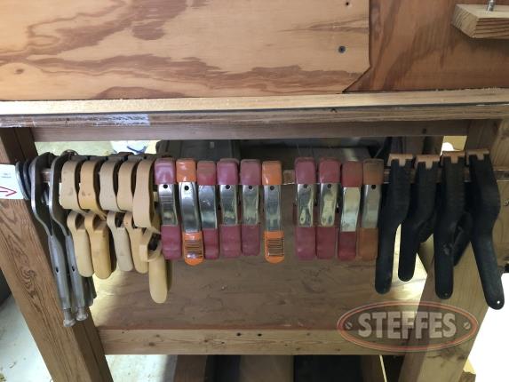 Assorted-Spring-Clamps_2.jpg