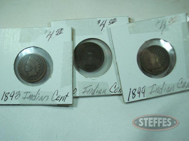 (3)-Indian-Head-Cents--1893--1899----1900_1.jpg