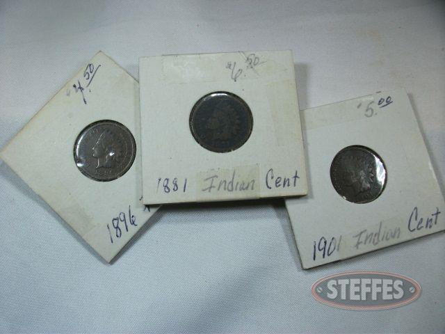 (3)-Indian-Head-Cents--1881--1896----1901_1.jpg