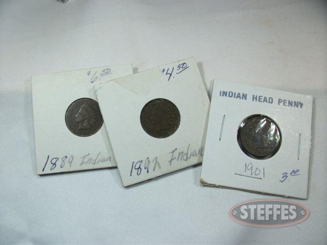 (3)-Indian-Head-Cents--1889--1892----1901_1.jpg