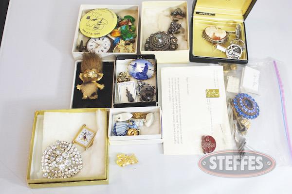 Assorted-Costume-Jewelry--Pins-(See-photos-for-details)_1000.jpg