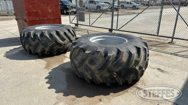 (2) 30.5L-32 tires