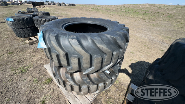 (2) Galaxy 17.5L-24 tires