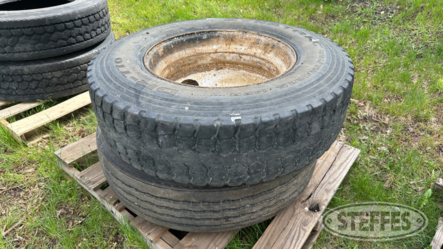 (2) Truck tires